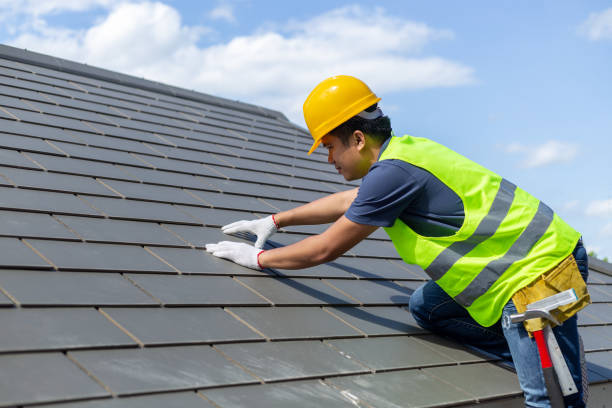 Best Roof Moss and Algae Removal  in Greenwood, PA
